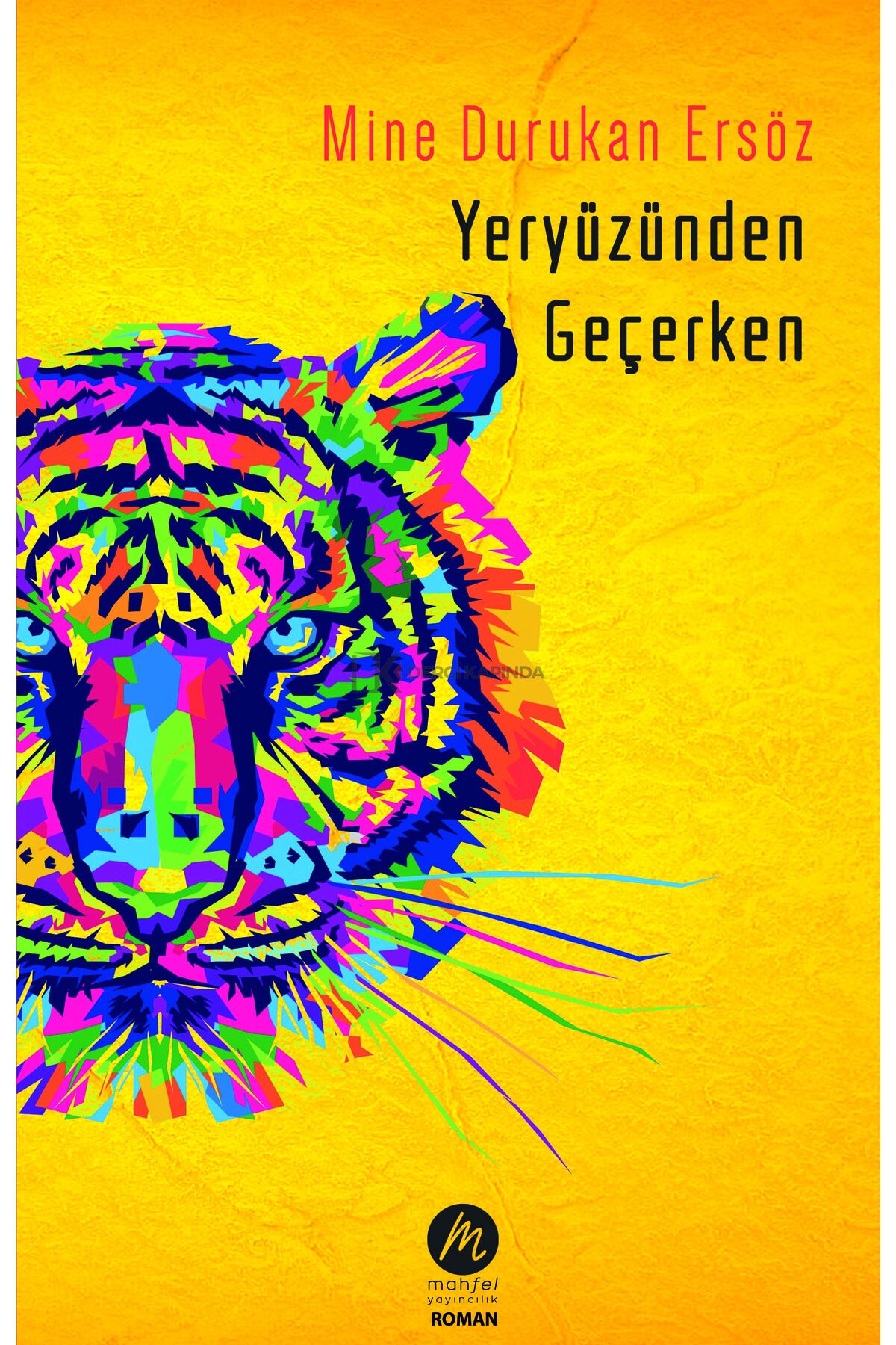 Yeryüzünden Geçerken