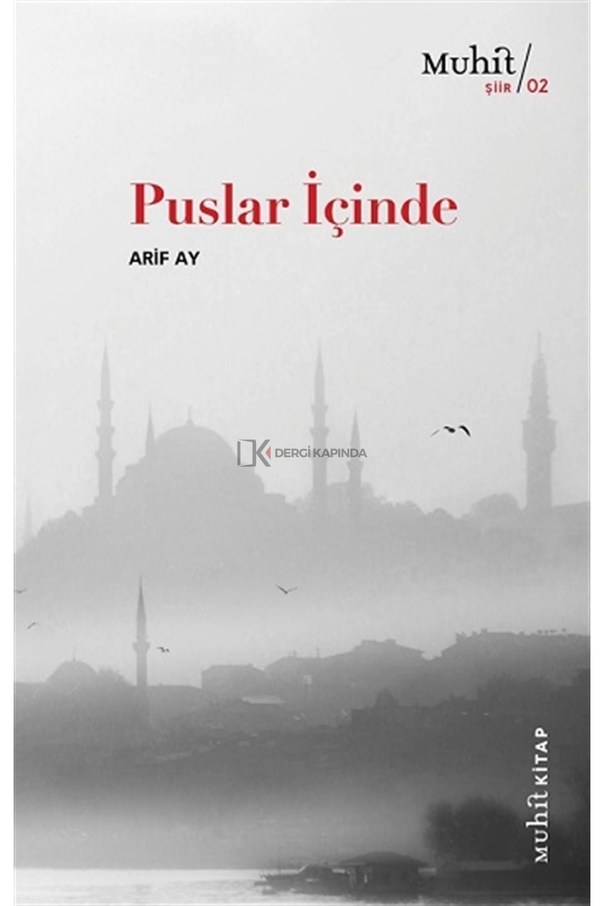 Puslar Içinde