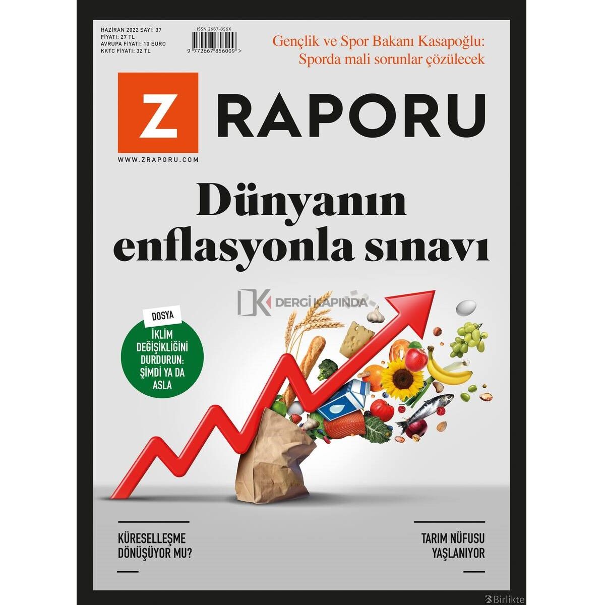 Z Raporu - Haziran 2022