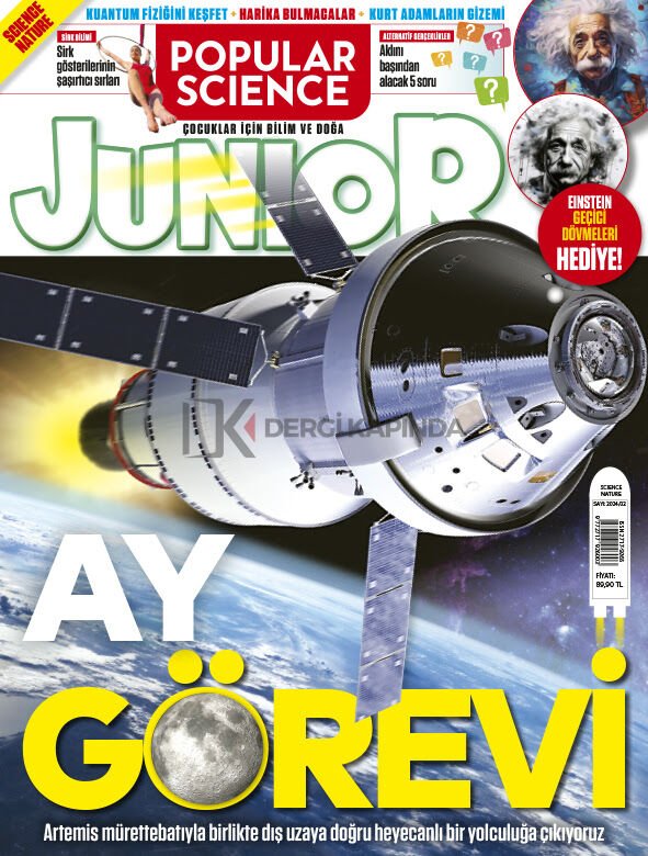 Popular Science Junior 2024