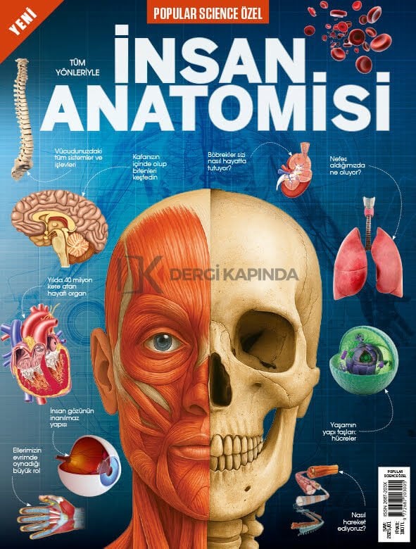 İnsan Anatomisi - Popular Science Dergi Özel Sayı 2025