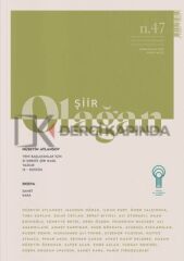Olağan Şiir Dergi 47.Sayı Kasım-Aralık 2025