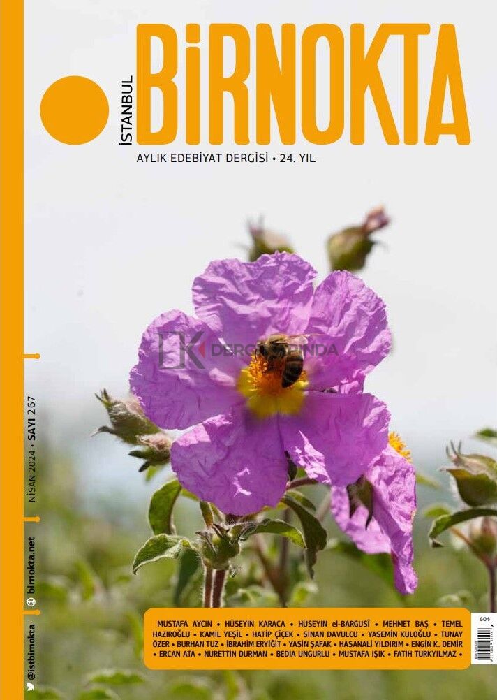 İstanbul Birnokta 267.Sayı Nisan 2024