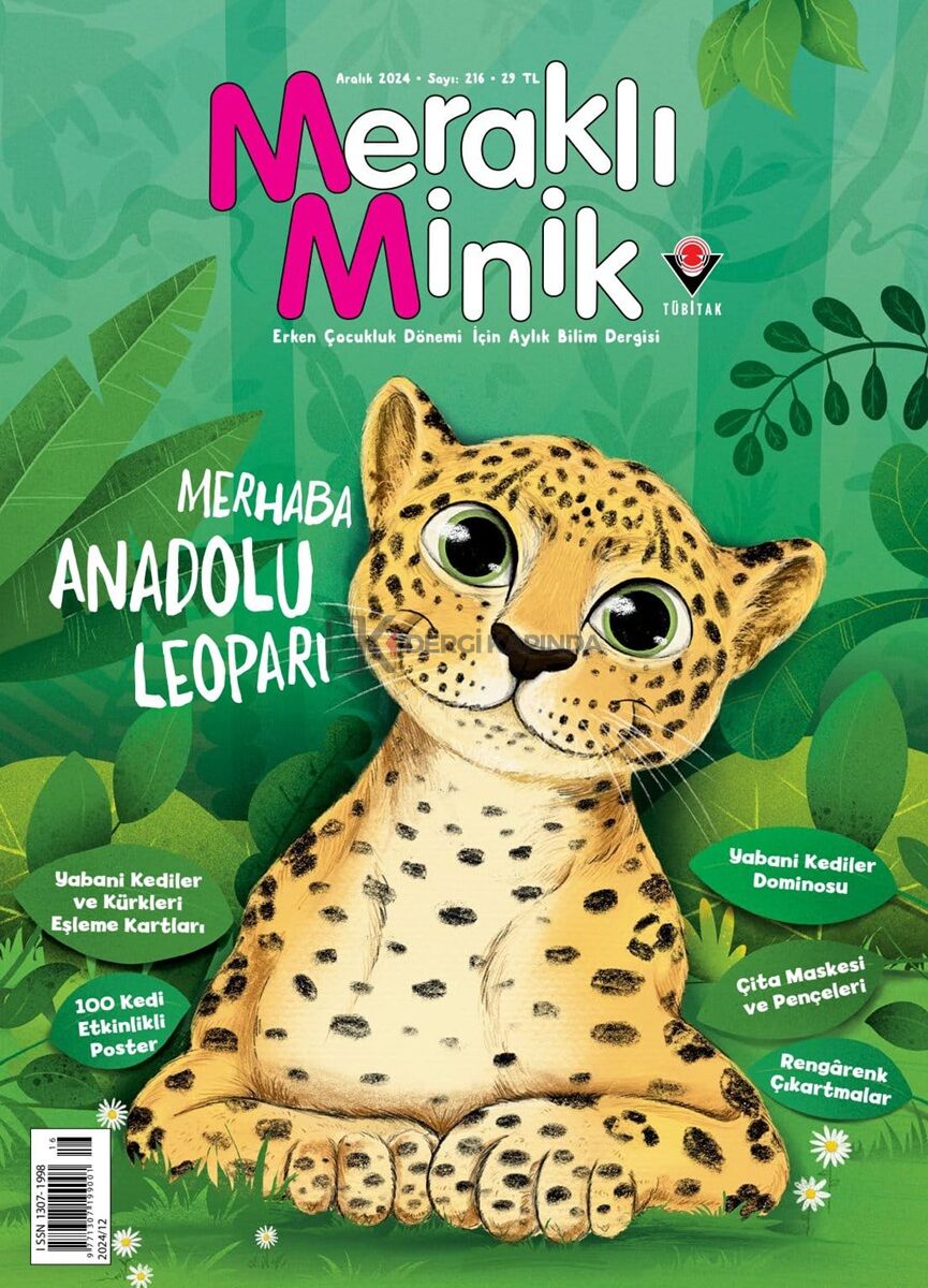 Meraklı Minik Dergi Aralık 2024 (3-6 yaş)
