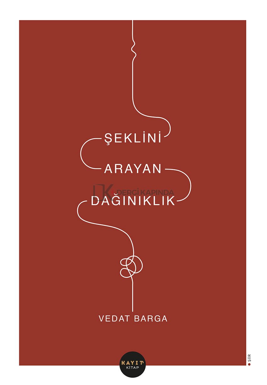 Şeklini Arayan Dağınıklık - Vedat Barga