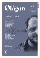 Olağan Şiir 41.Sayı Kasım-Aralık 2024