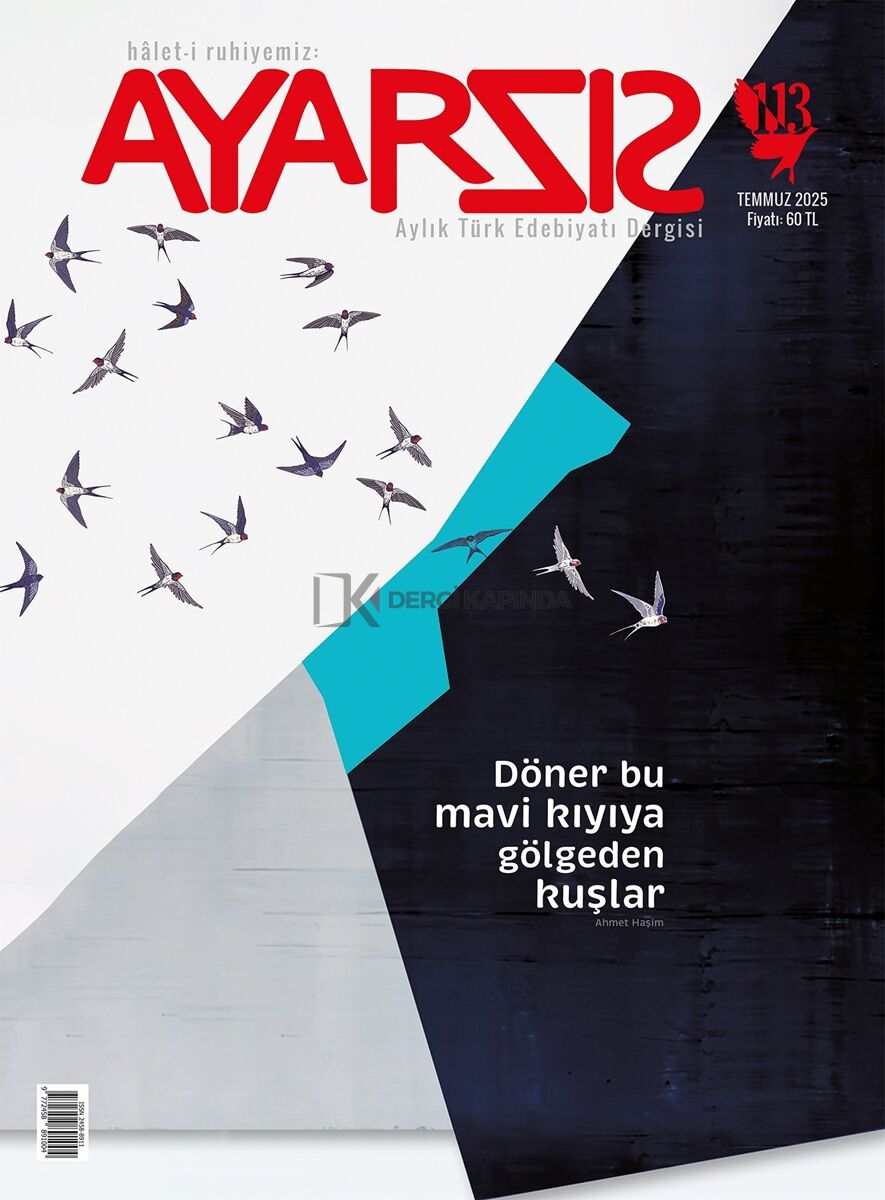 Ayarsız Dergi 113.Sayı Temmuz 2025
