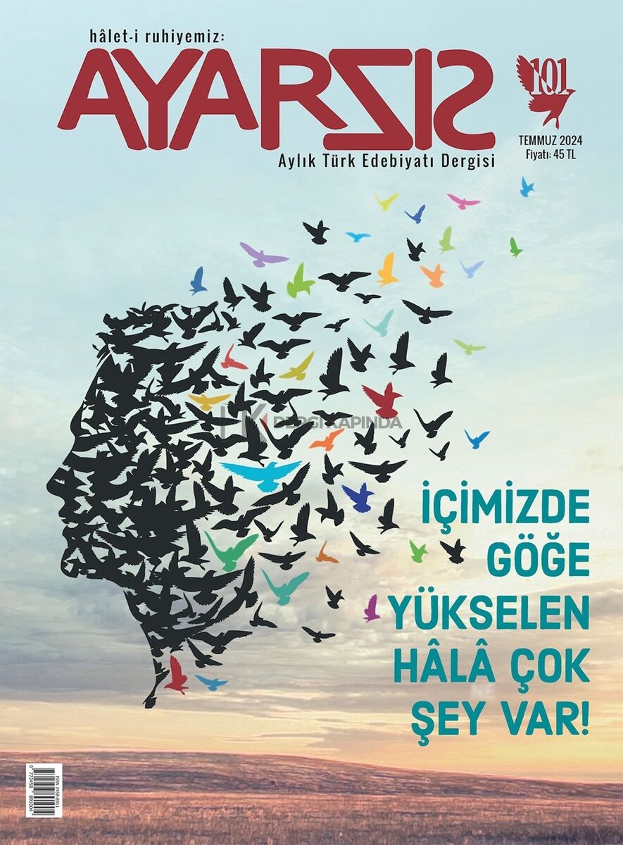 Ayarsız Dergi 101.Sayı Temmuz 2024