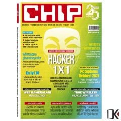 Chip 2021-3
