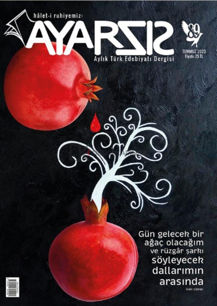 Ayarsız 89.Sayı Temmuz 2023