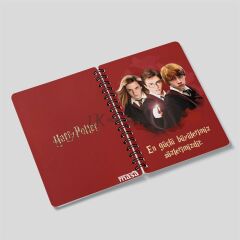 Harry Potter Telli Defter