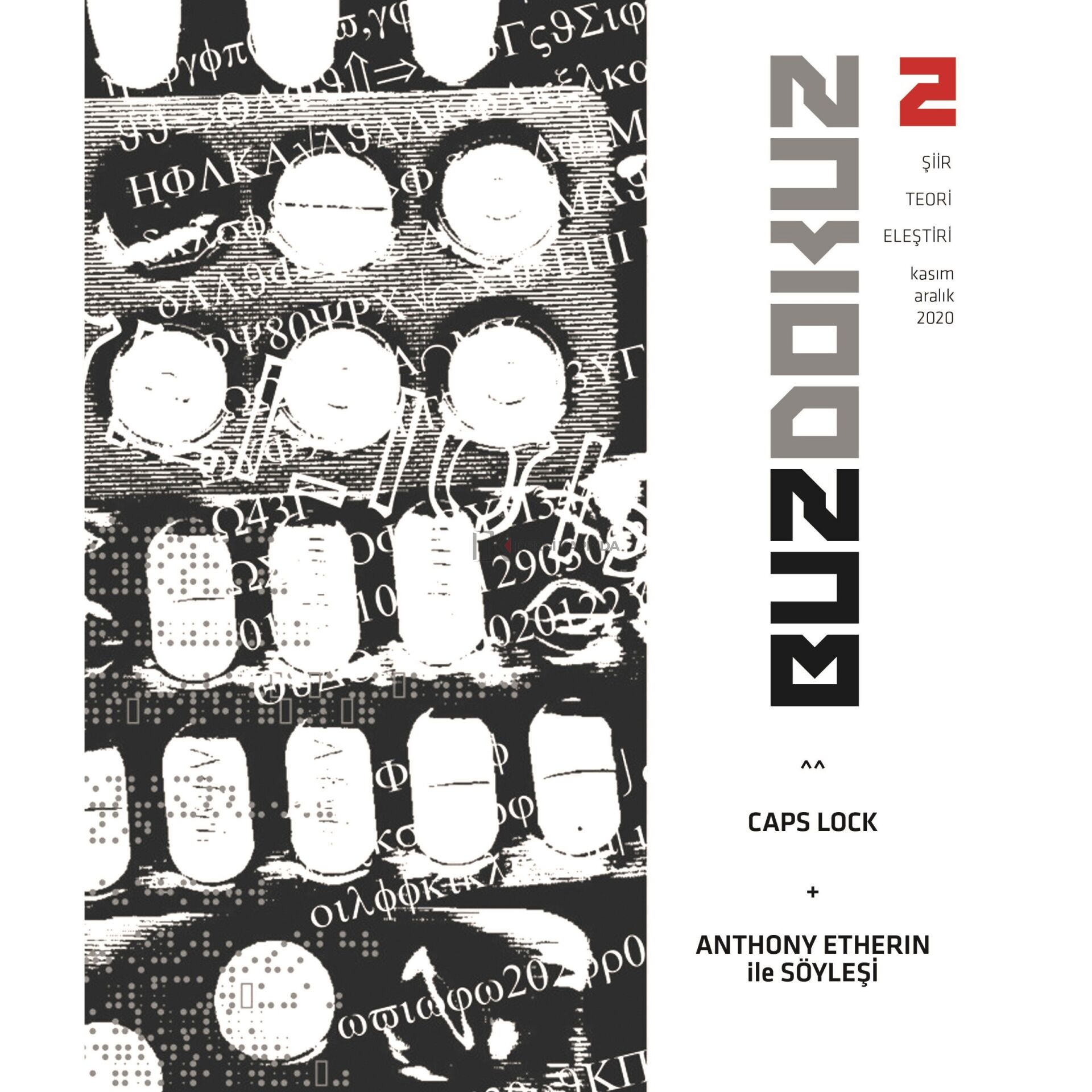 Buzdokuz 2.Sayı Kasım-Aralık 2020