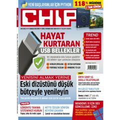 Chip 2022/04