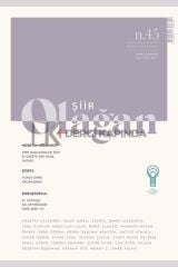 Olağan Şiir Dergi 45.Sayı Temmuz-Ağustos 2025