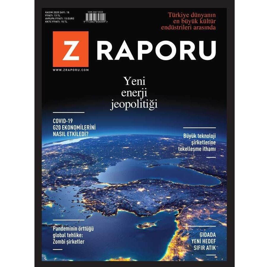 Z Raporu Kasım 2020