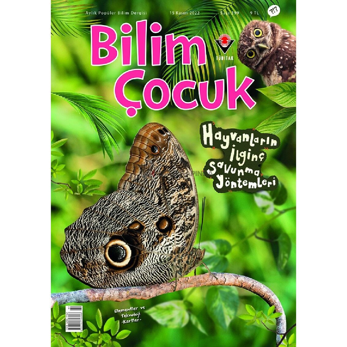 Bilim Çocuk Kasım 2022