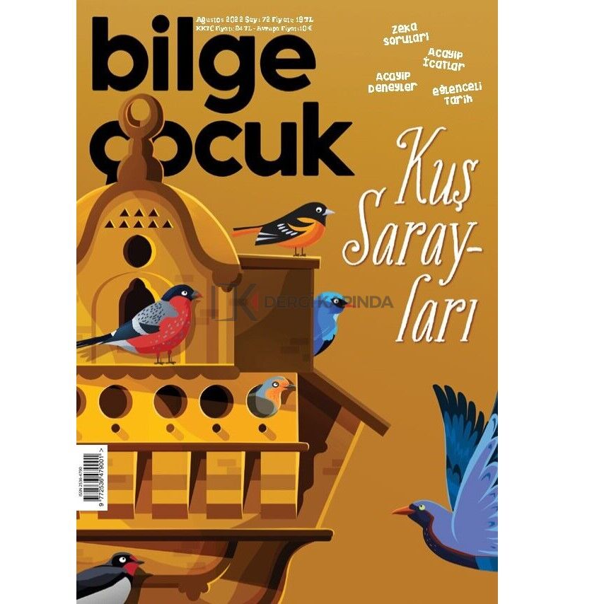 Bilge Çocuk Ağustos 2022