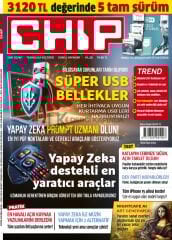 Chip 2024/01