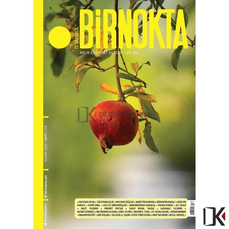İstanbul BirNokta 226.Sayı Kasım 2020