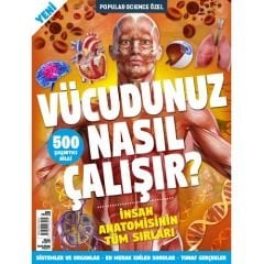 Vücudunuz Nasıl Çalışır?