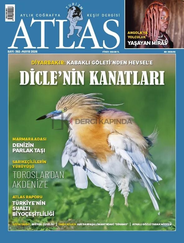 Atlas Dergi Mayıs 2026